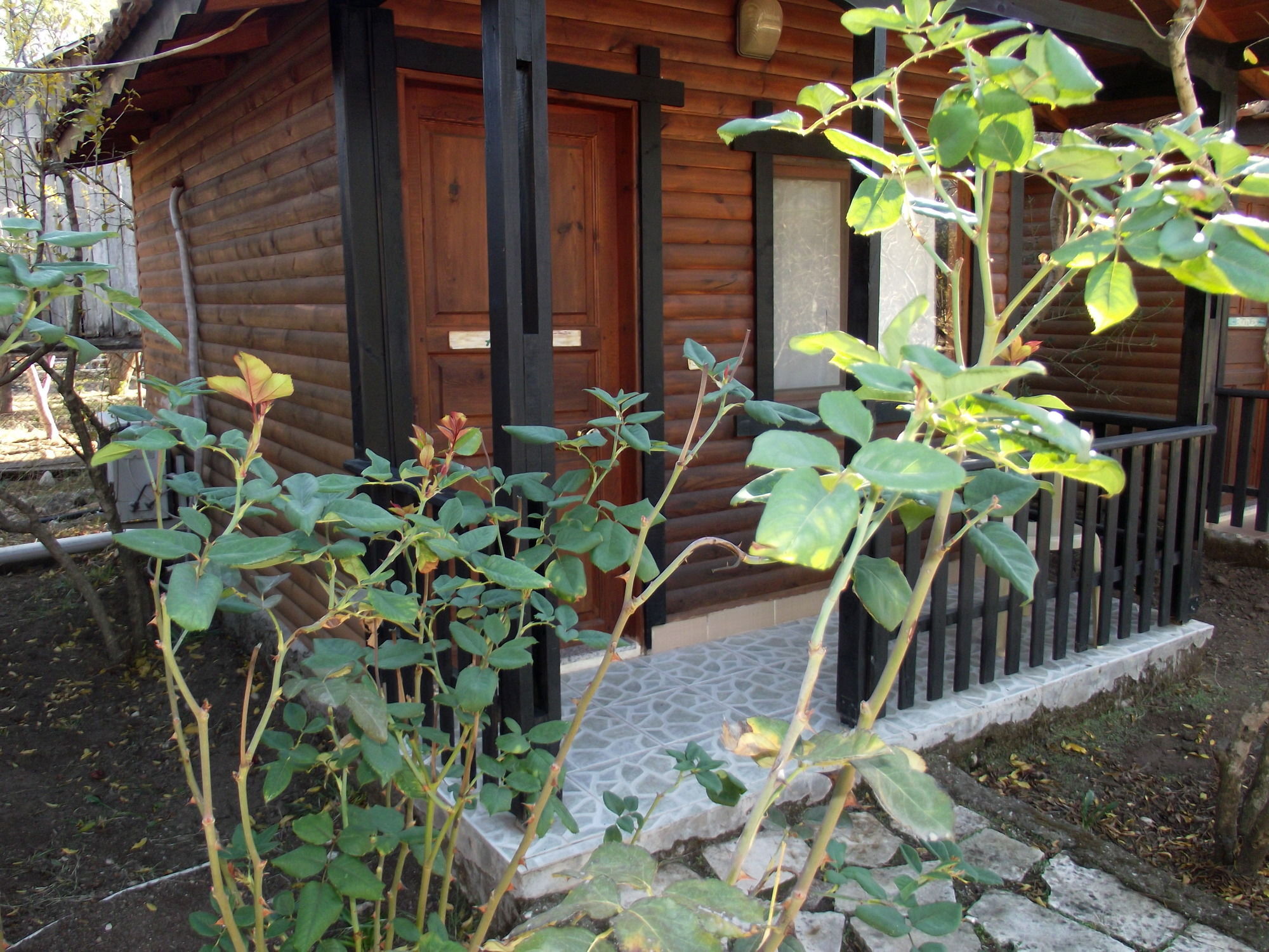 Koala Bungalows Olympos Exterior photo